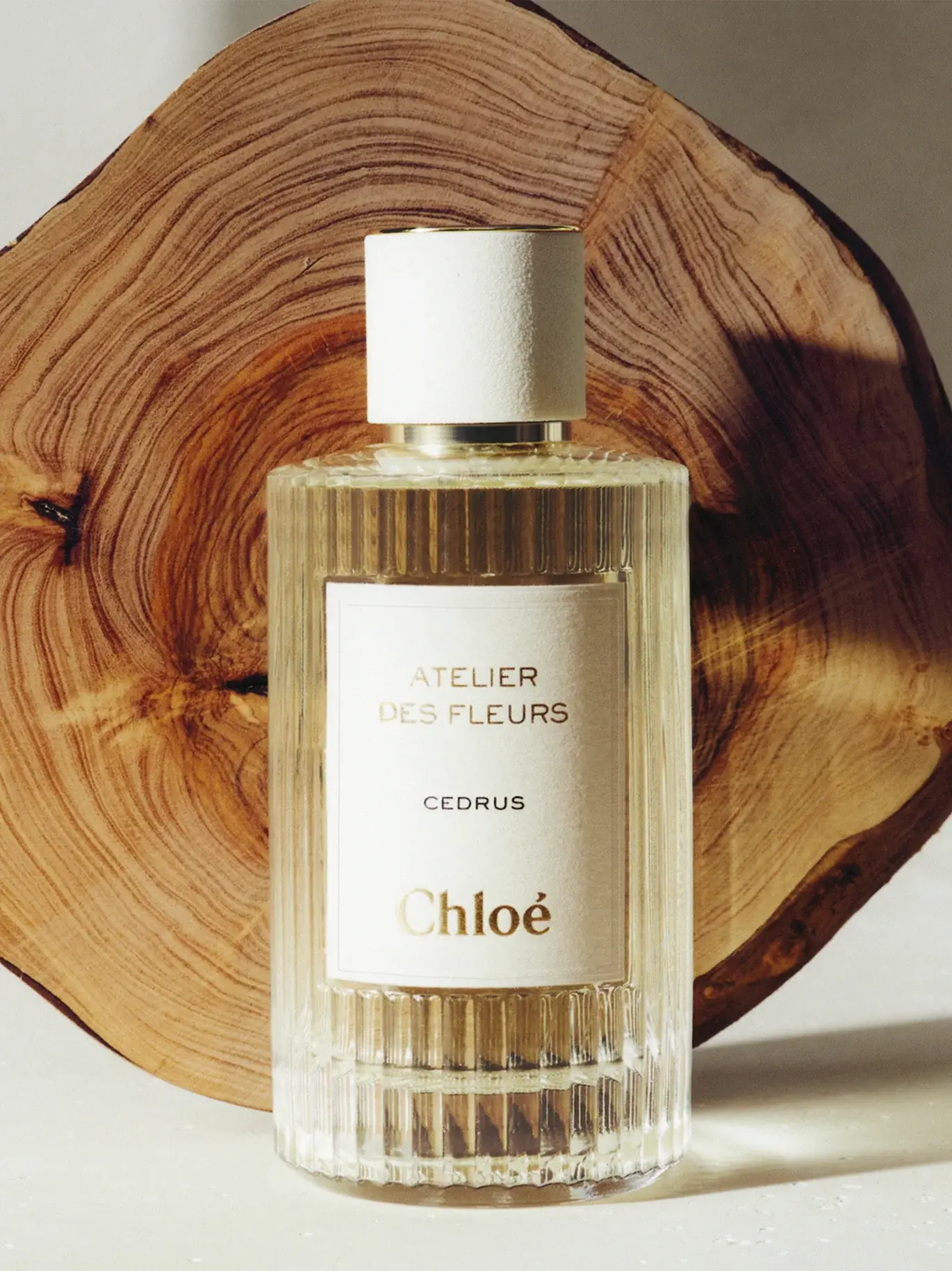  Chloe Atelier des Fleurs Cedrus